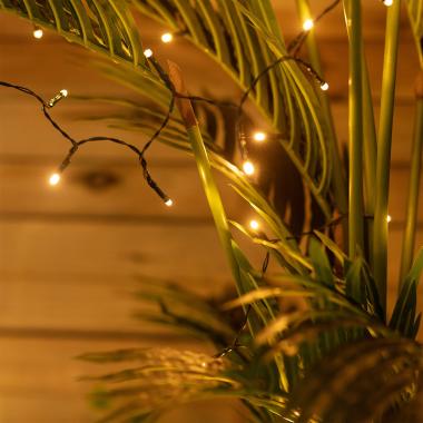 Image of 4M Suri Lasan Warm White Solar LED String Lights
