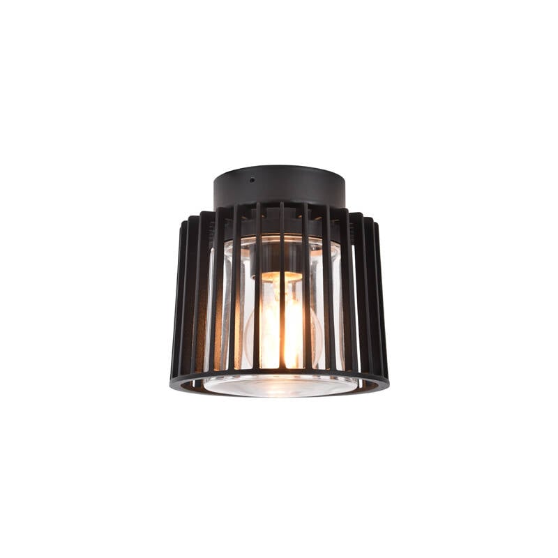 Image of Lutec Shyne Outdoor Porch Flush Ceiling Light