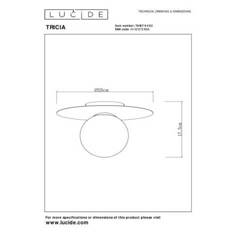 Scheme image
