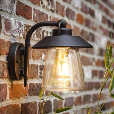 Lutec Cate Outdoor Hanging Lantern Wall Light