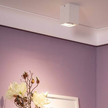 Image of Edit Jasper Single Ceiling Spotlight