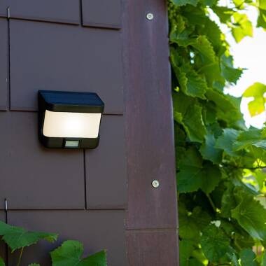 Lutec Try Solar LED Outdoor Flush Wall Light with PIR Sensor