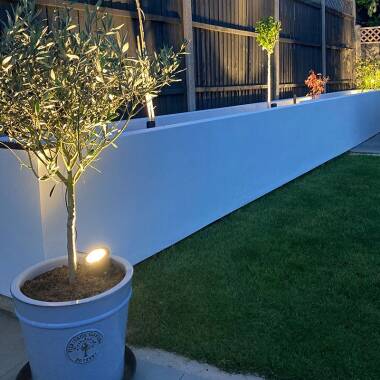 Image of EasyFit Core 12v Garden Lights - Fern LED Garden Spotlight Kit -  16 Lights