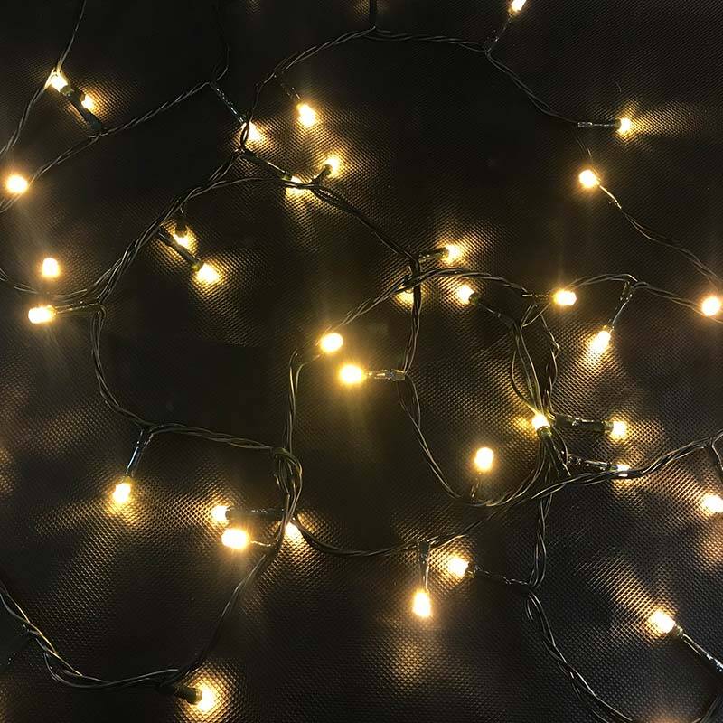 Image of EasyFit Core 12v Garden Lights - 12M Warm White LED String Lights - 100 Lights