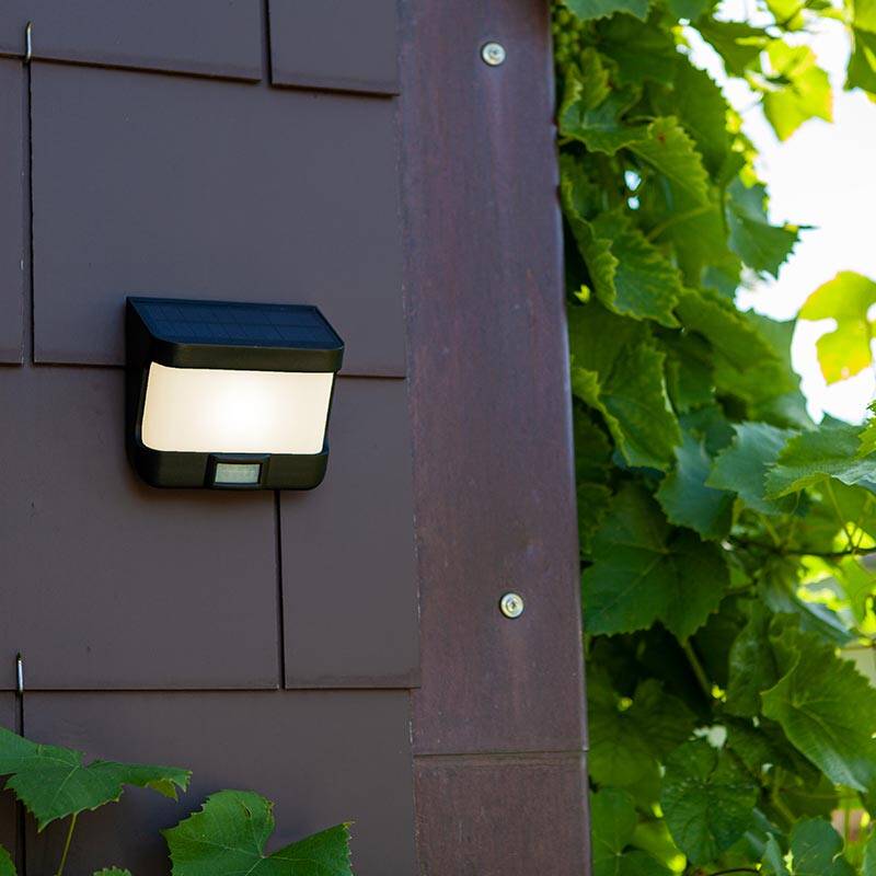 Image of Lutec Try Solar LED Outdoor Flush Wall Light with PIR Sensor