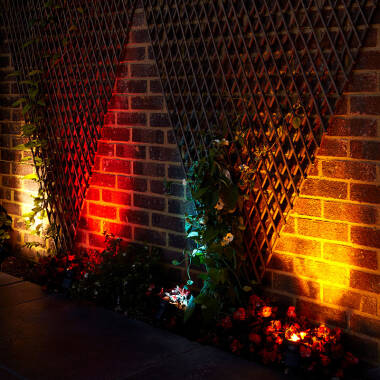 Image of EasyFit Core 12v Garden Lights - Scene LED Spotlight