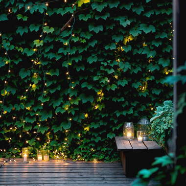 Image of Suri Warm White Solar LED Multi-Function String Lights