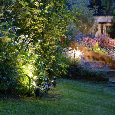 Image of EasyFit Core 12v Garden Lights - Bloom LED Spotlight - Black
