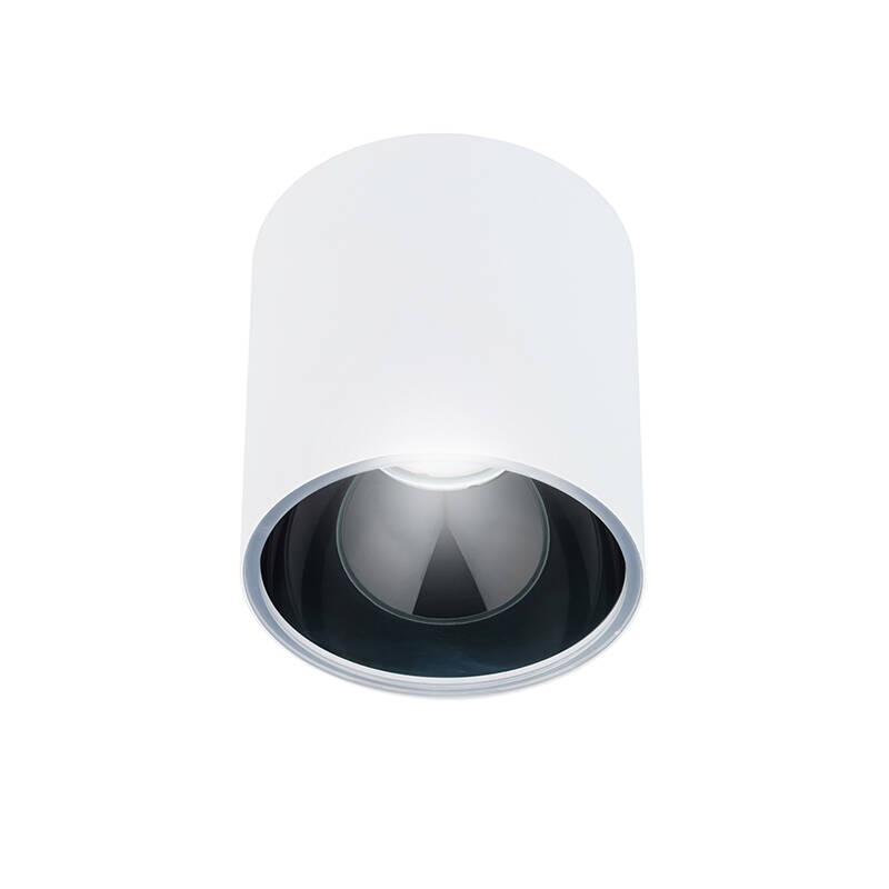 Image of Arch Flush Ceiling Light