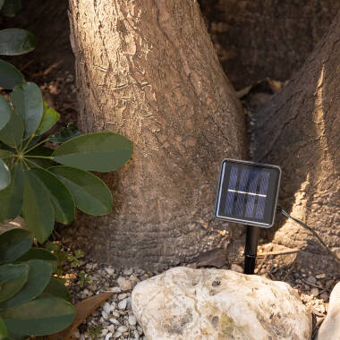 Image of Suri Warm White Solar LED Multi-Function String Lights