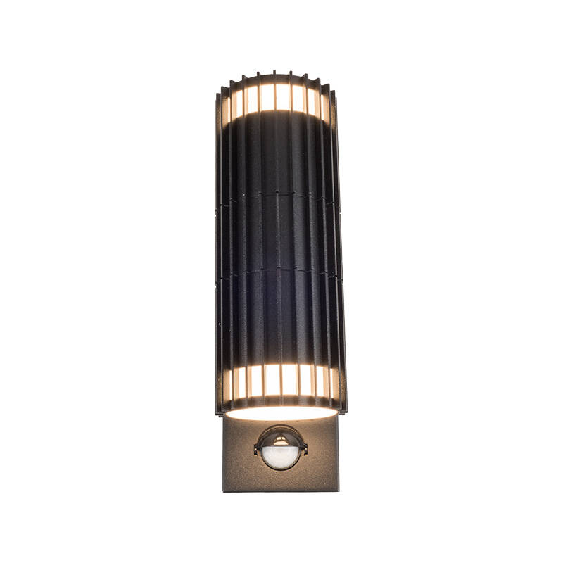 Image of Edit Hibiscus Outdoor Up & Down Wall Light with PIR Sensor