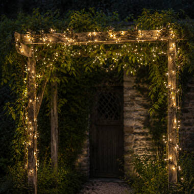 Image of Easyfit 12 Forset String Lights